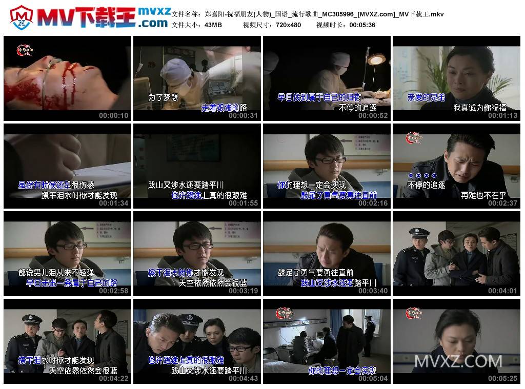 郑嘉阳-祝福朋友(人物)_国语_流行歌曲_MC305996